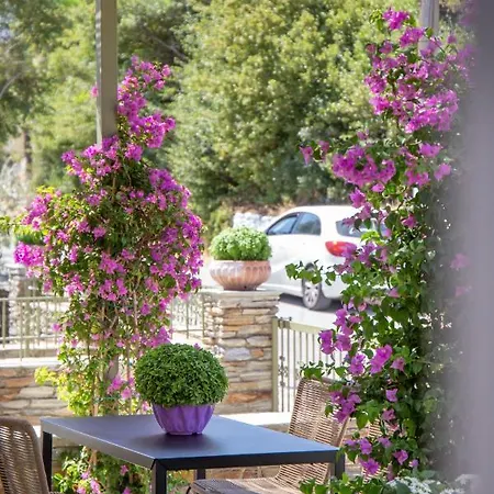 Apartment Nysa Menites